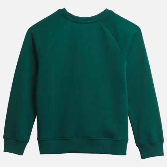Little Kids' Clothing (sizes 4-7) | Little Kids' Shoes (sizes 10.5k-3)^Reebok Pullover PineGreen