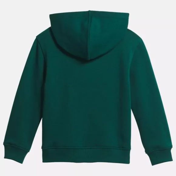 Little Kids' Clothing (sizes 4-7) | Little Kids' Shoes (sizes 10.5k-3)^Reebok Identity Big Hoodie - Little Kids PineGreen